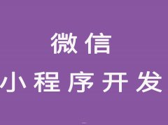 福州开发公司哪家好？福州小程序开发/网站建设/平台软件开发