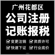 拓南财务代理（广州）·0元注册公司记账报税公司注册提供内资公